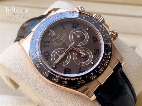 Rolex Daytona Chocolate Scramble 